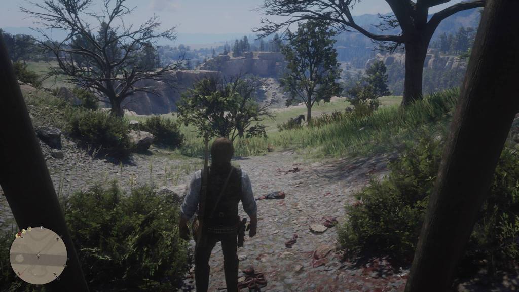 Wonder What He Did? Red Dead Redemption&nbsp;2