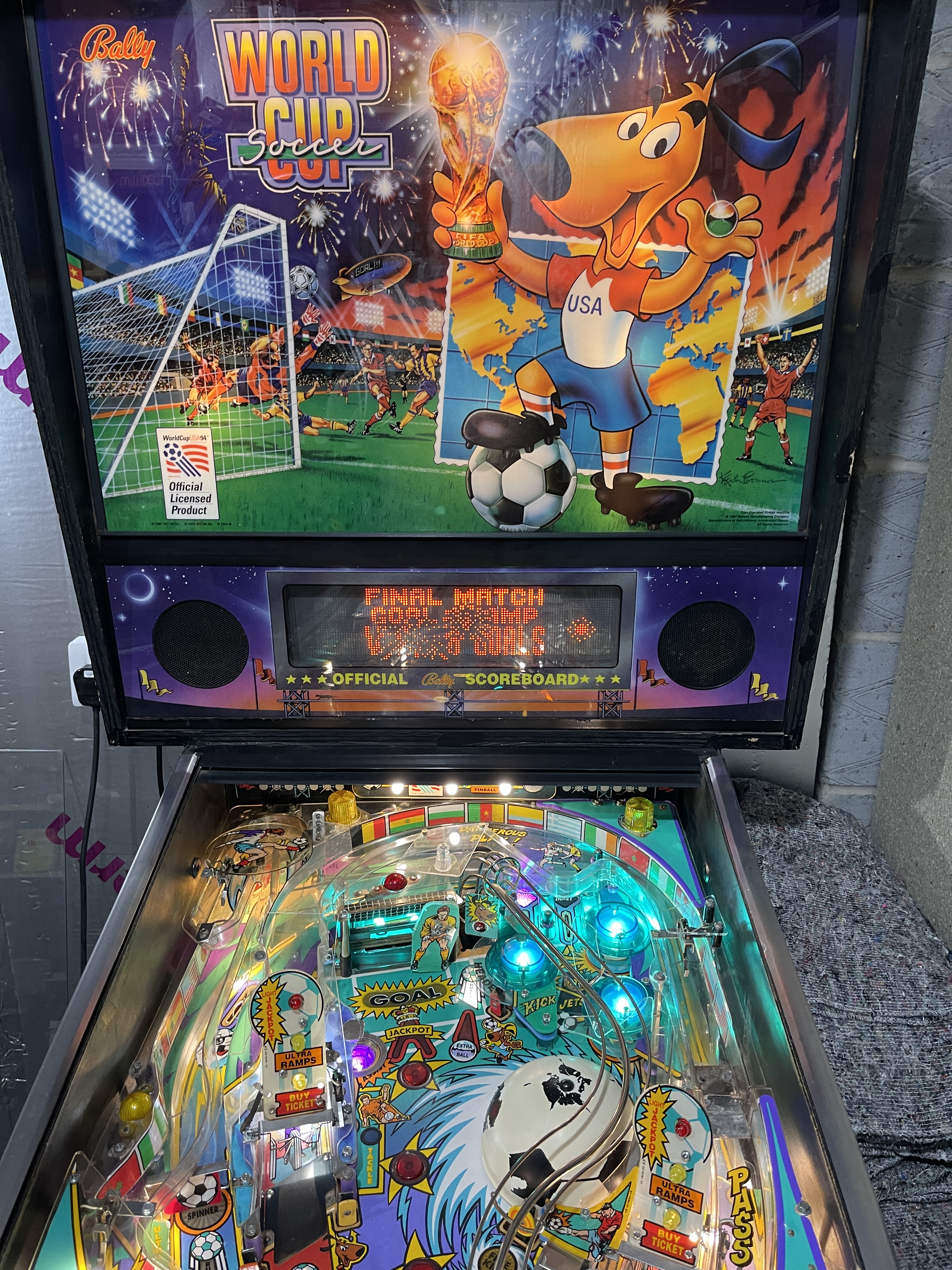World Cup Soccer photograph 8